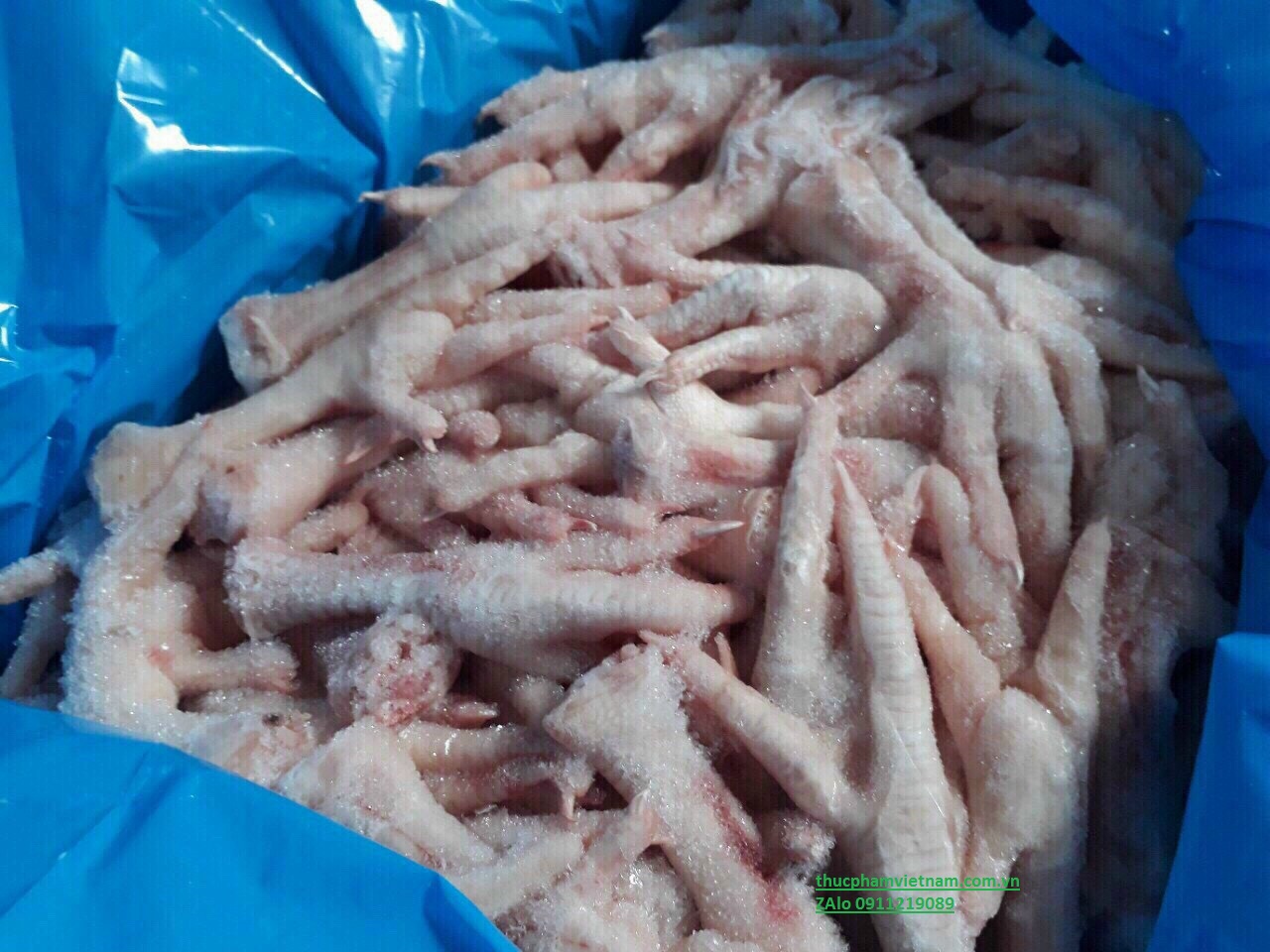 Chân gà đông lạnh - Ship nguyên thùng giá sỉ, giá bán buôn